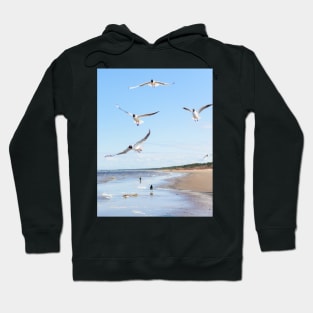 Copy of Flock of seagulls flying above the water Hoodie